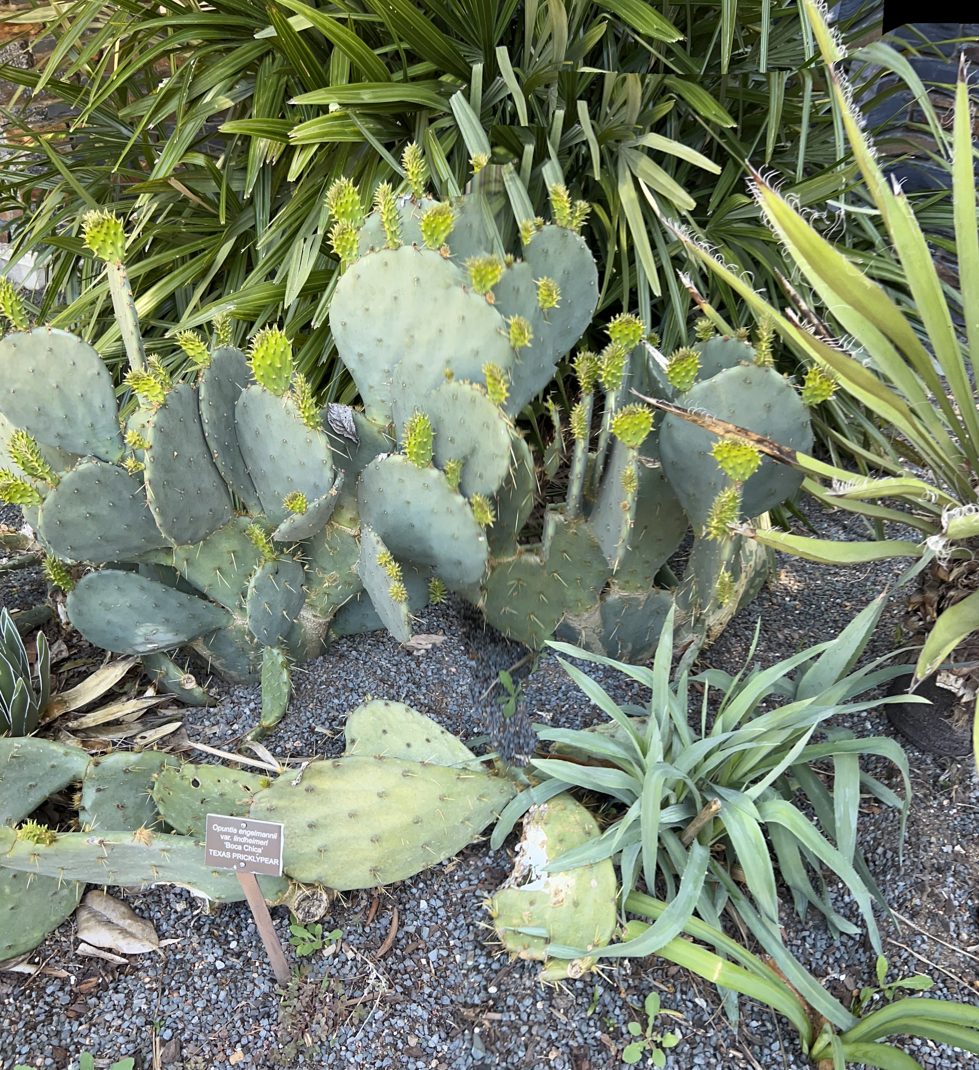 ./2023/05 - Toni Adventures/IMG_3232.JPG